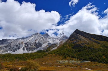 IMGP9515(1)