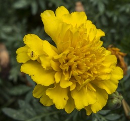 ??1