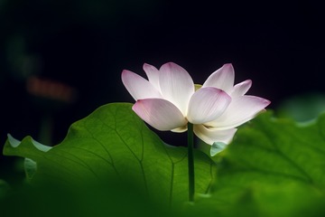 001