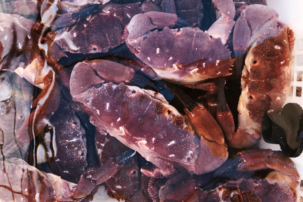 西沙群岛(银屿岛)上的海鲜盛宴 br /> 海鲜大餐  br />