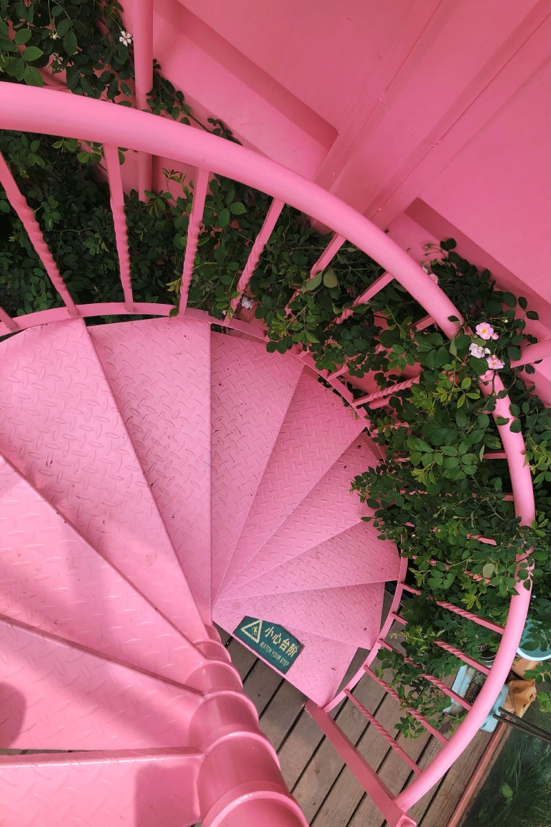 成都三圣乡网红店 粉色楼梯