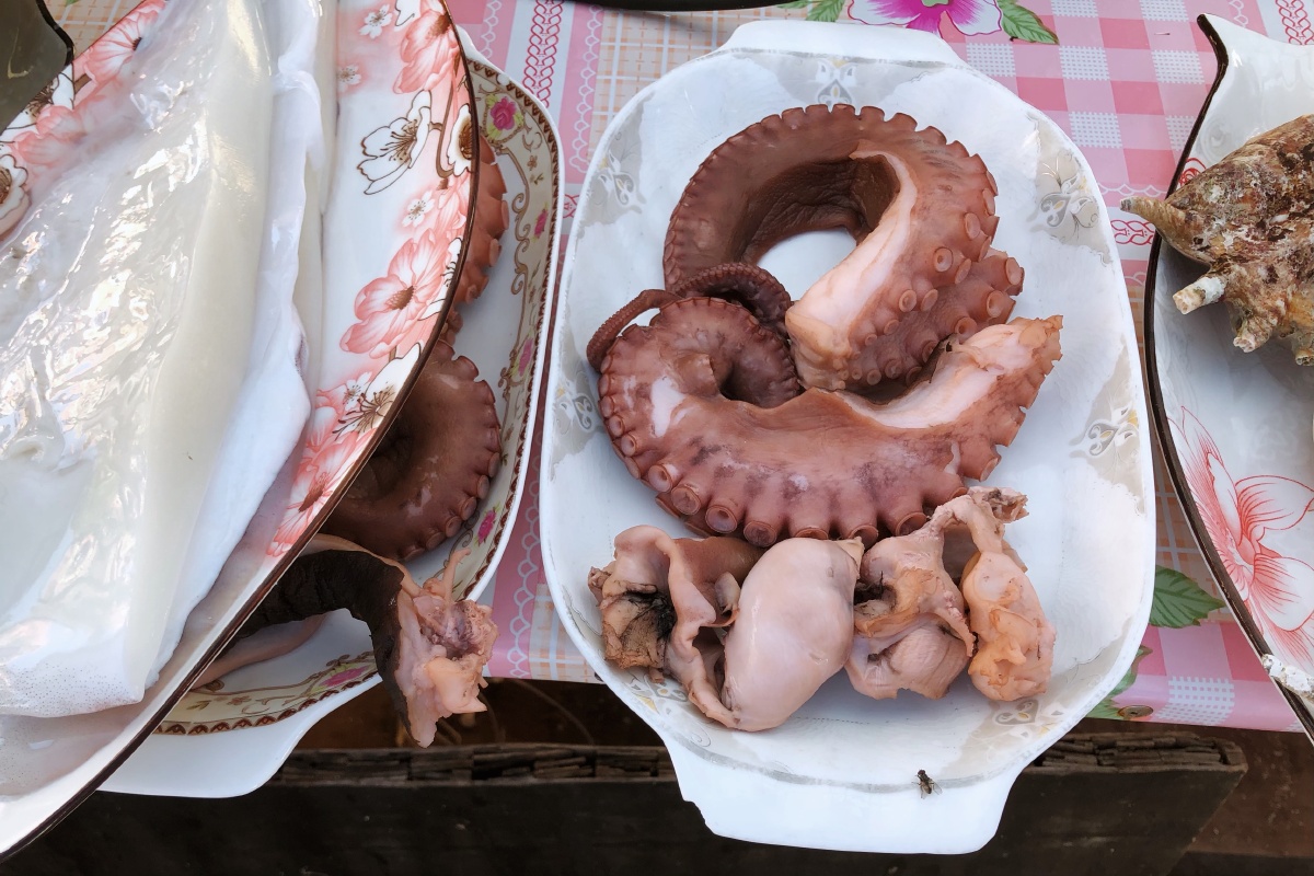 西沙群岛(银屿岛)上的海鲜盛宴 br /> 海鲜大餐  大章鱼 br />