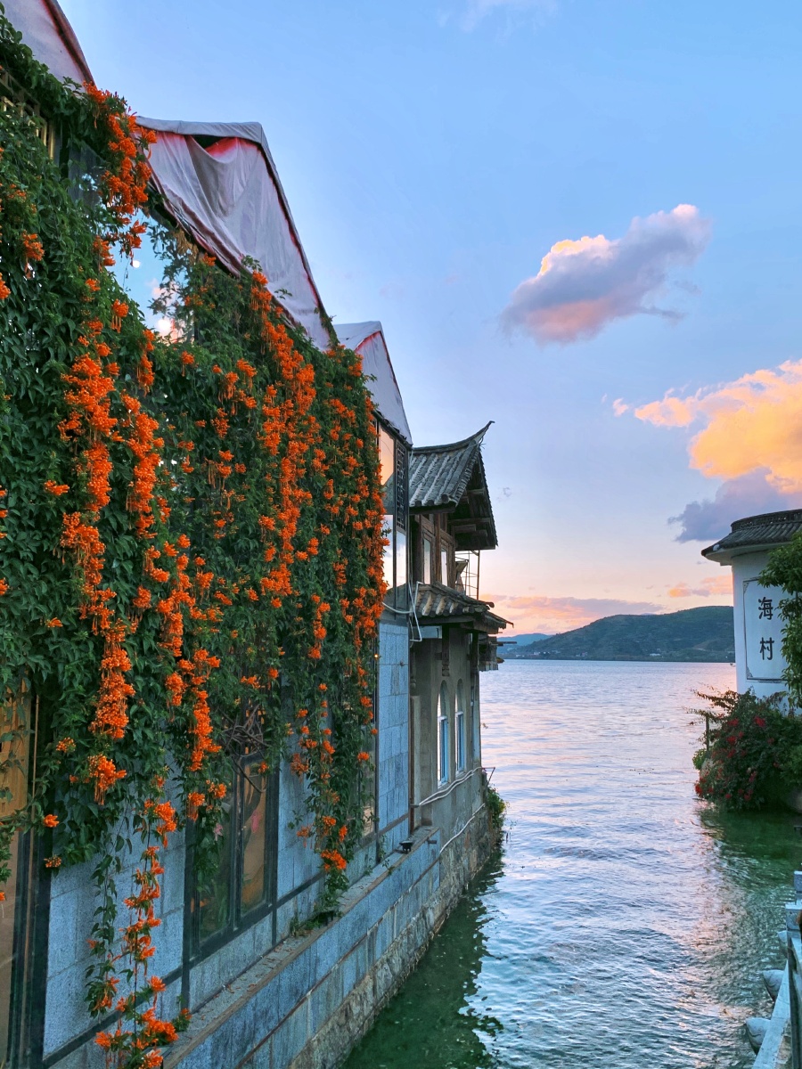 带老妈游大理 路线:理想帮-双廊古镇-大理环海