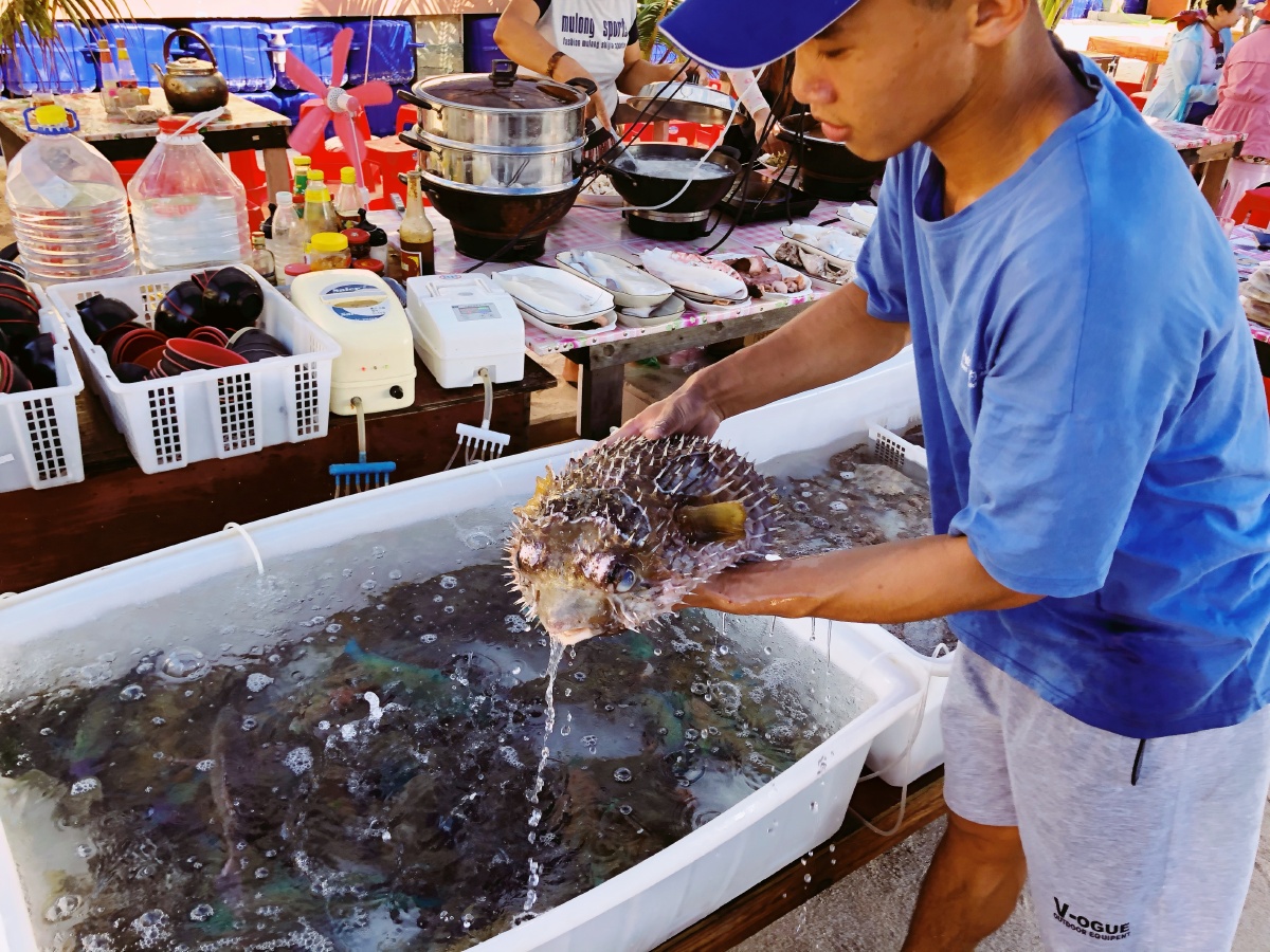 西沙群岛(银屿岛)上的海鲜盛宴 br /> 海鲜大餐  br />