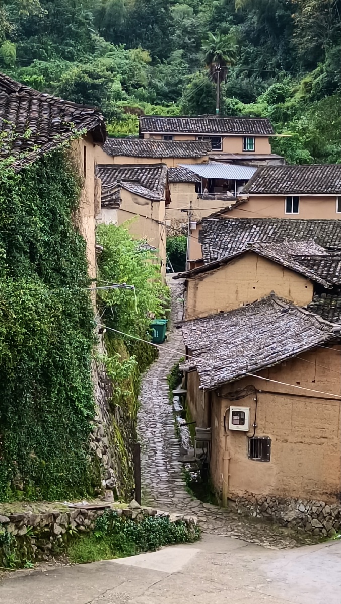 浙江丽水杨家堂村