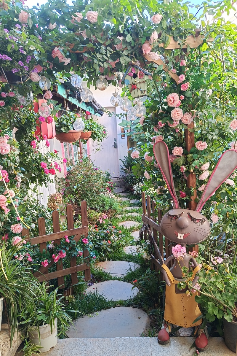 丽江古城印心小院网红民宿是花花世界没错了哈哈