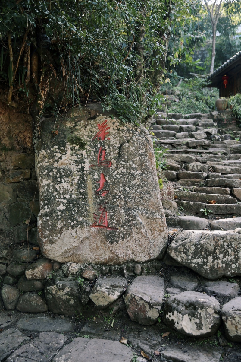 脱贫普洱那柯里茶马驿站 茶马古道丝绸之路 脱贫云南普洱茶马古城 茶