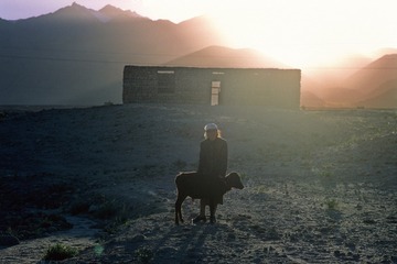 Image1