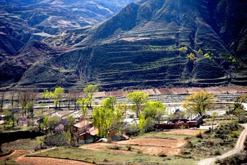 3.古道春早 DSC08589