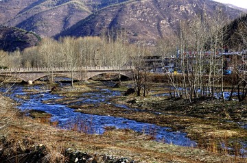 14.关外春早 DSC08404