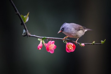_A6T1560-编辑