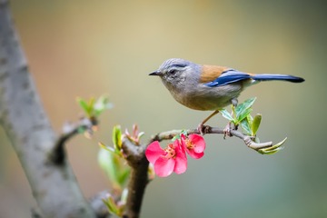 _A6T2491-编辑