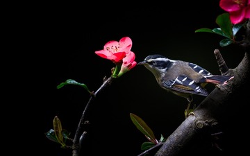 _A6T2281-编辑