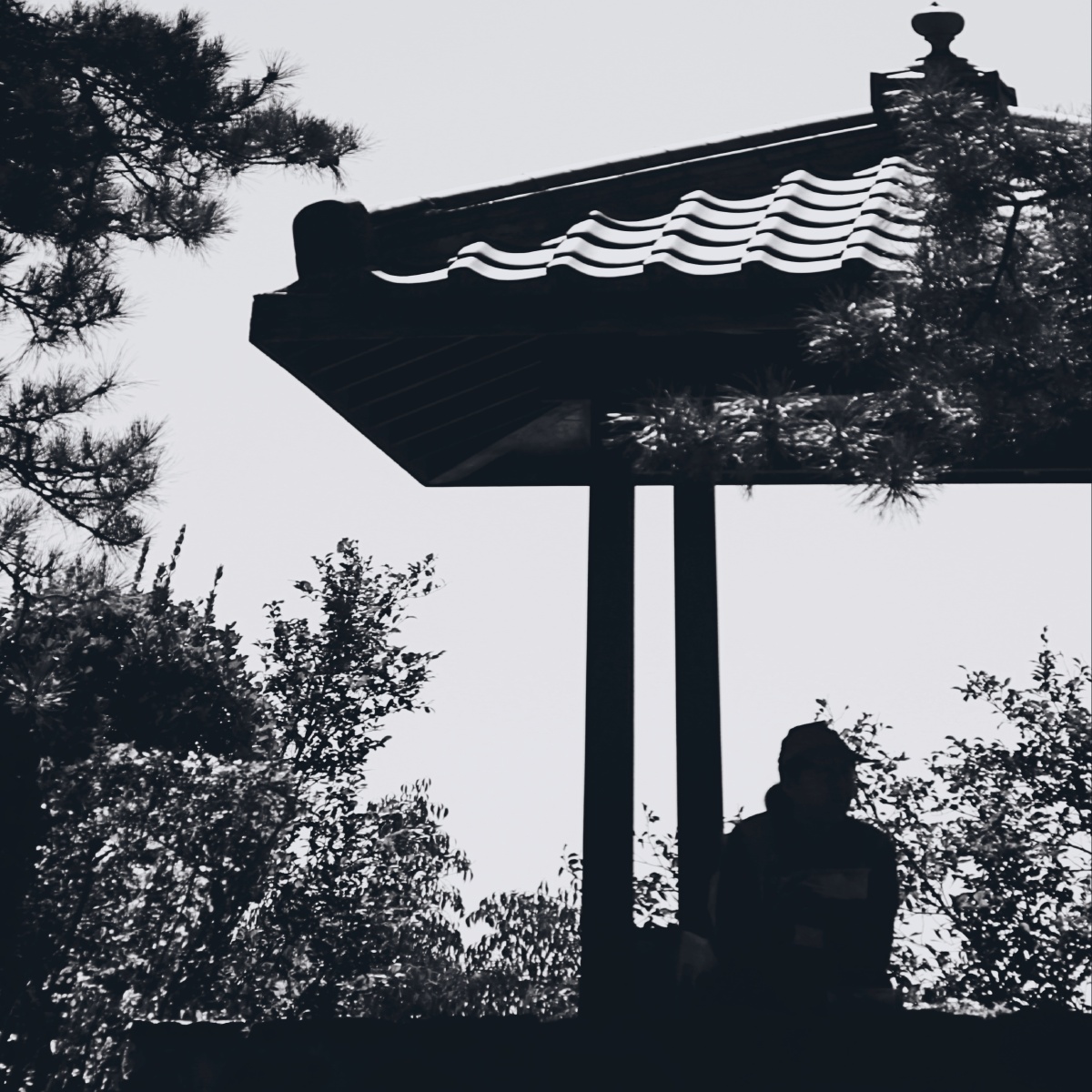 寒露几片瓦的屋檐下