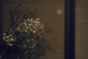 57AD622D-CEE8-4098-B403-D427F25F9749/L0/001