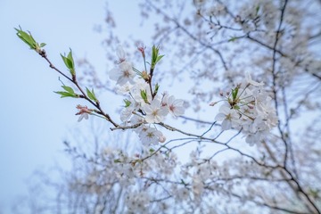 IMG_1948P