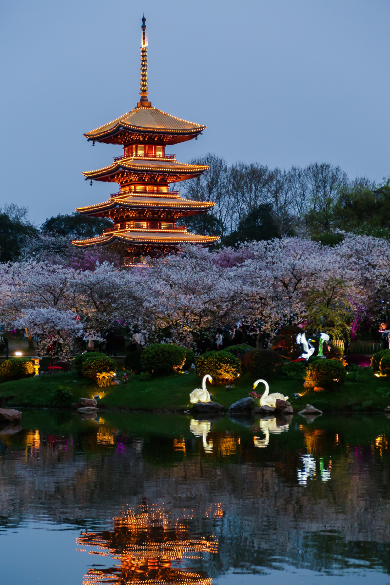 武汉磨山樱园61五重塔