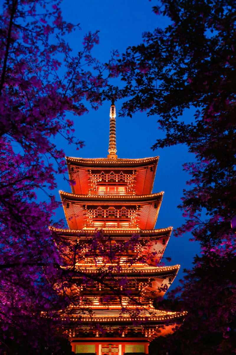 武汉磨山樱园61五重塔