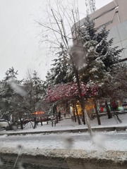 9075319