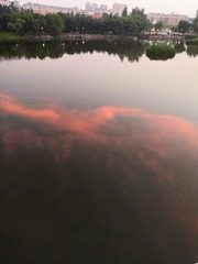 9073090