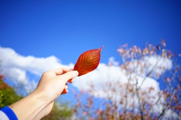 298805