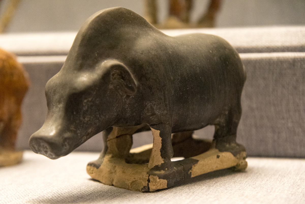 洛阳博物馆掠影