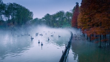 DJI_20241115111006_0110_D-2