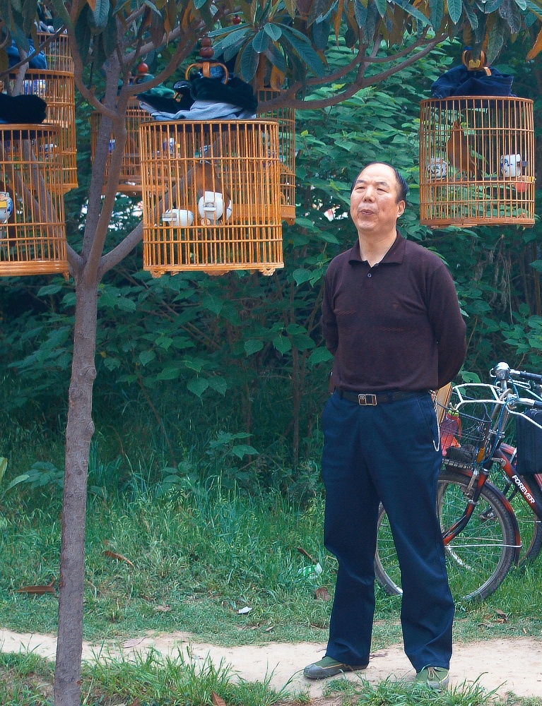 遛鸟8有大把时光需要消遣成年人各种玩物具是他们最好的陪伴最优雅的