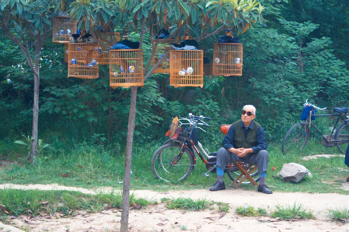 遛鸟3墨镜大爷出场