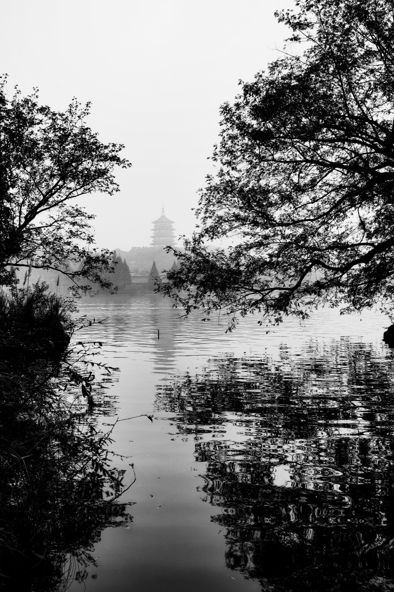 西湖剪影