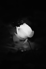 13202