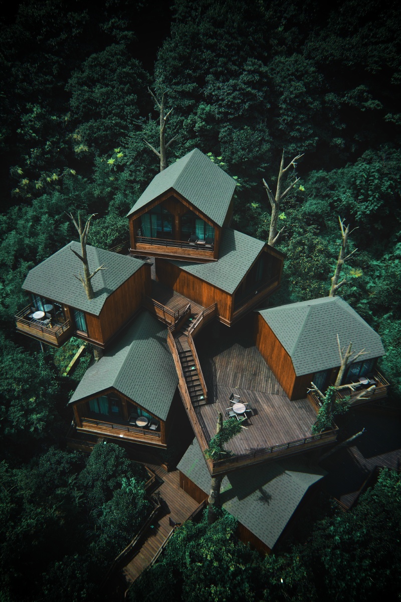 杭州开元森泊树屋专场