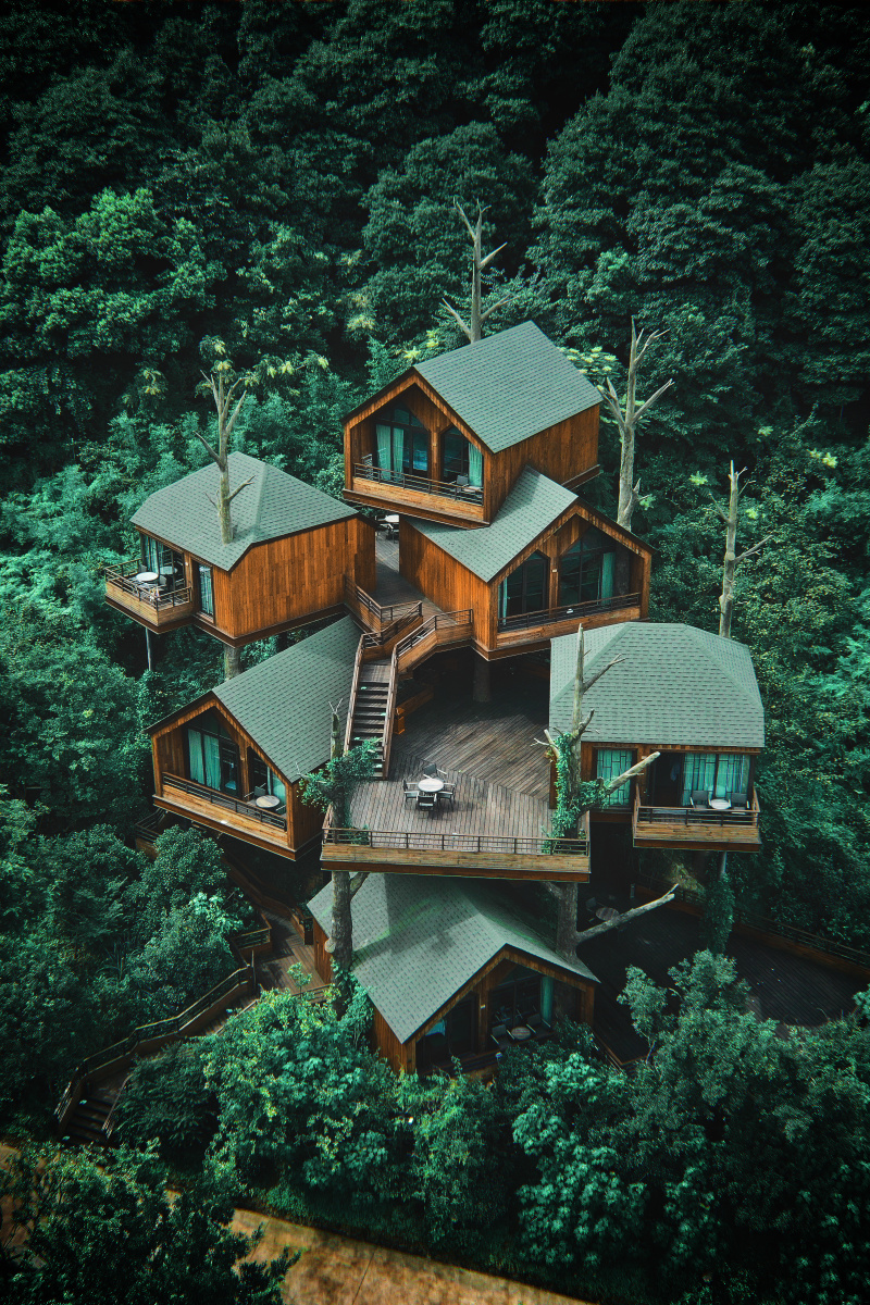 杭州开元森泊树屋专场