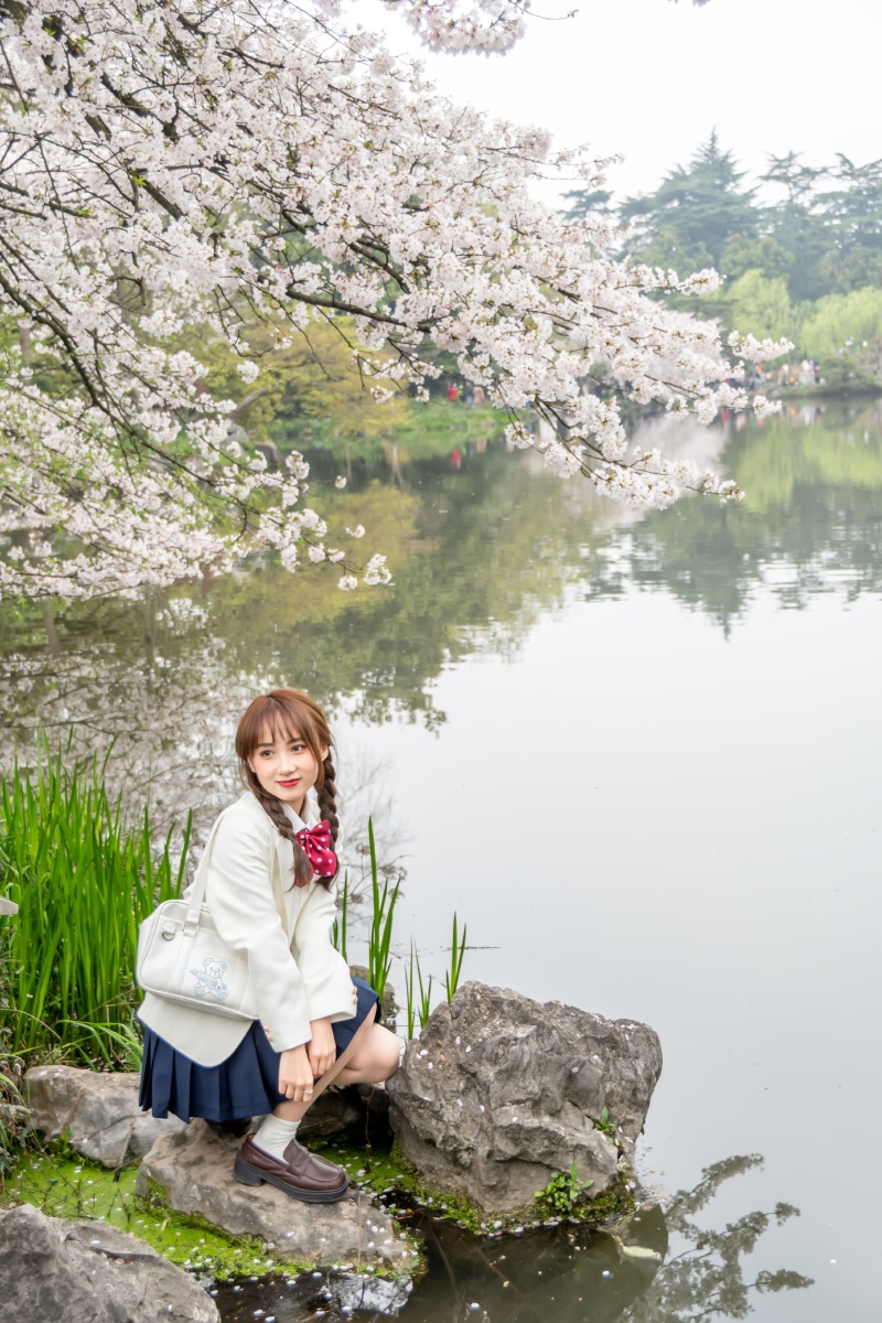 樱花美少女绽放青春活力