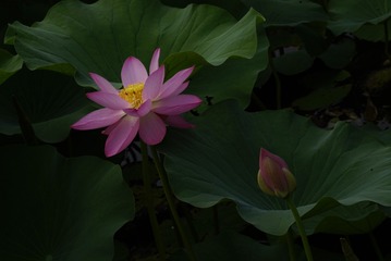001