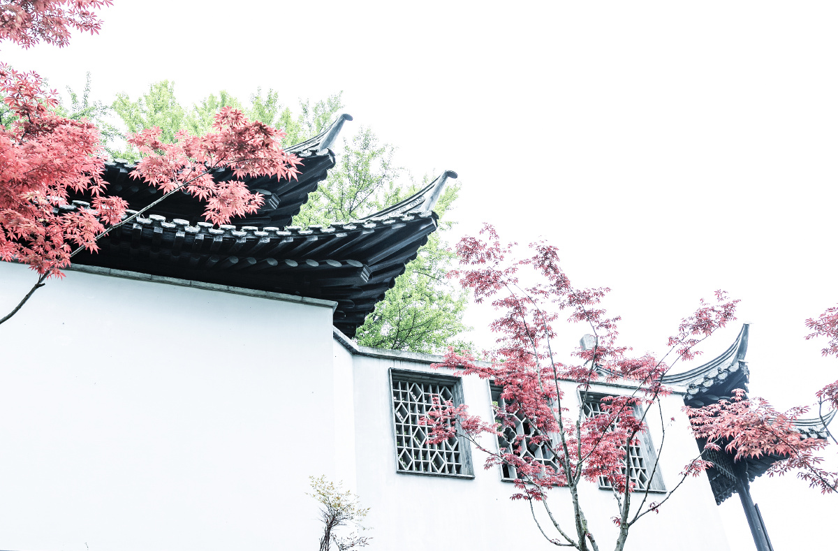 高调片 - 武汉自由摄影人 - 图虫