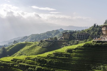 龙脊梯田