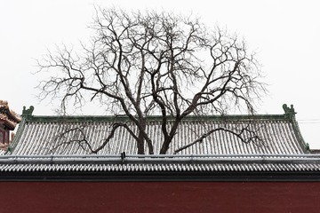_DSC9691