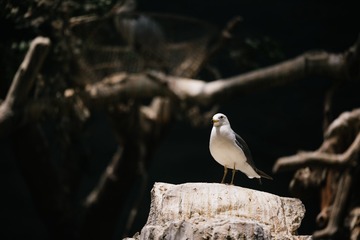 _DSC5816