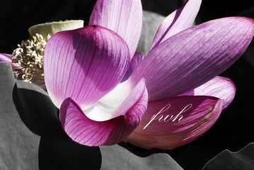 9D4FCCC0-EA8C-4D2F-AD25-FAE7920E9BE3/L0/001