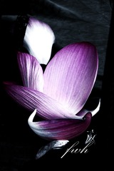 E37D39F1-E953-4278-89C0-FB48C711CF23/L0/001