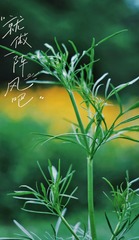 1DAC758C-09F0-48C6-9E92-087DC1074988/L0/001