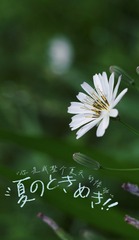 31AE3EE1-167E-438D-BEC3-C5CBC0F8575A/L0/001