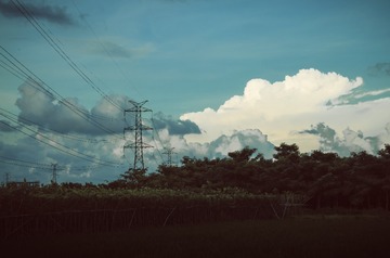 DSC_8426(3)