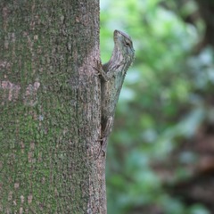 IMG_2563_HQ