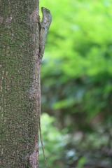 IMG_2564_HQ