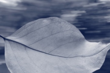 IMG_3847_mono