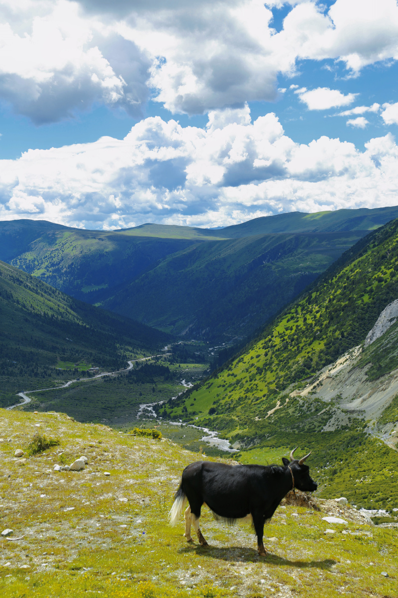 关于夏天摩旅318川藏线不负每一分热爱