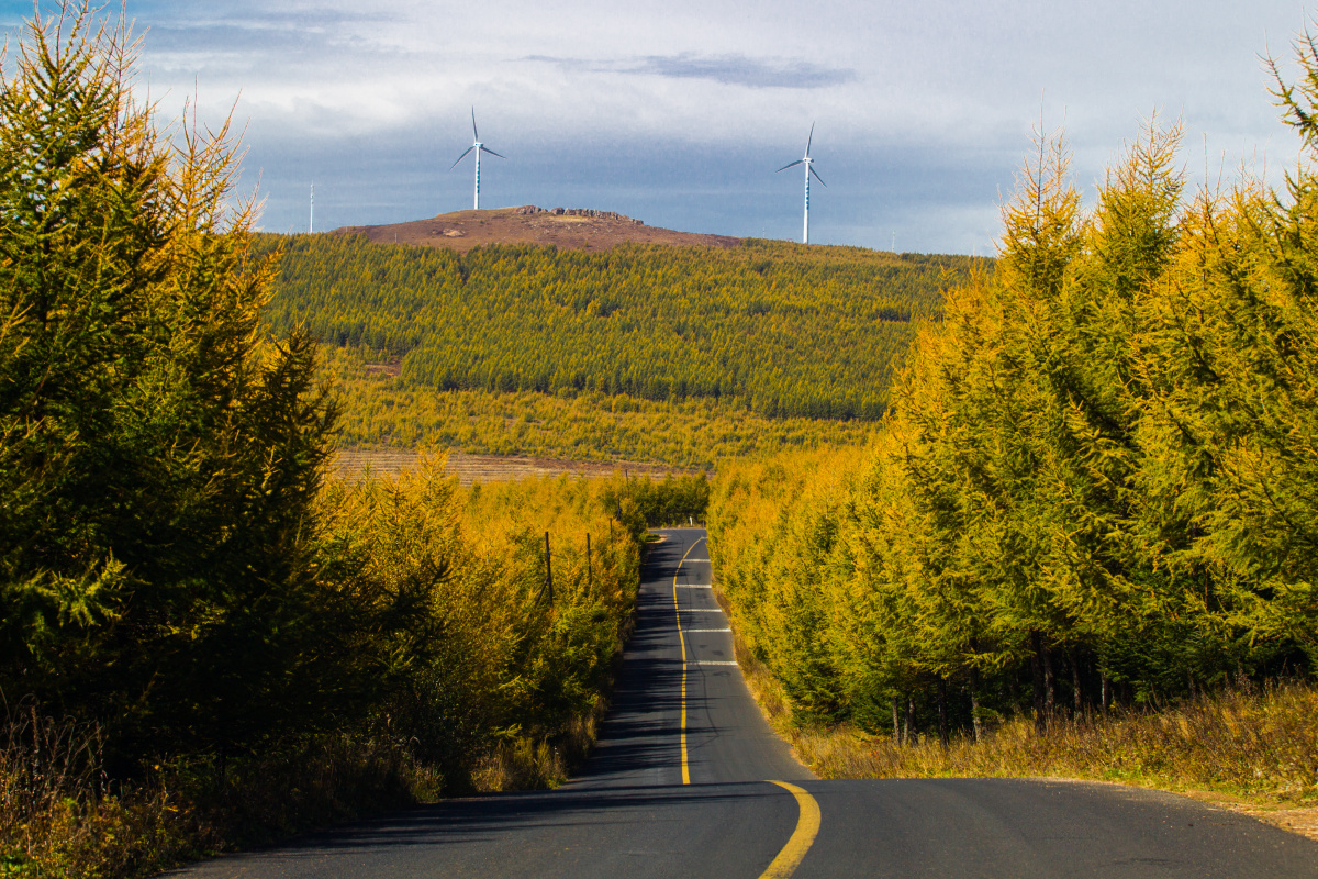 秋天的草原天路路边风景