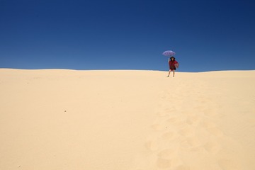 IMG_5905_